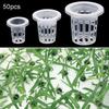 Clone Soilless Planting Grow Hydroponic Colonization Plant Basket Nursery Pots Mesh Pot Net Cup