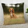 Pillowcase Cocker Spaniel  Modern Home Living Room Decoration