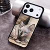 Sphinx Cat Phone Case For iPhone 17,16e,15,14,13,12,11,Mini,Pro,MAX soft Silicone Cover