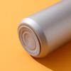 Guozi Sena Stainless Steel Vacuum Flask