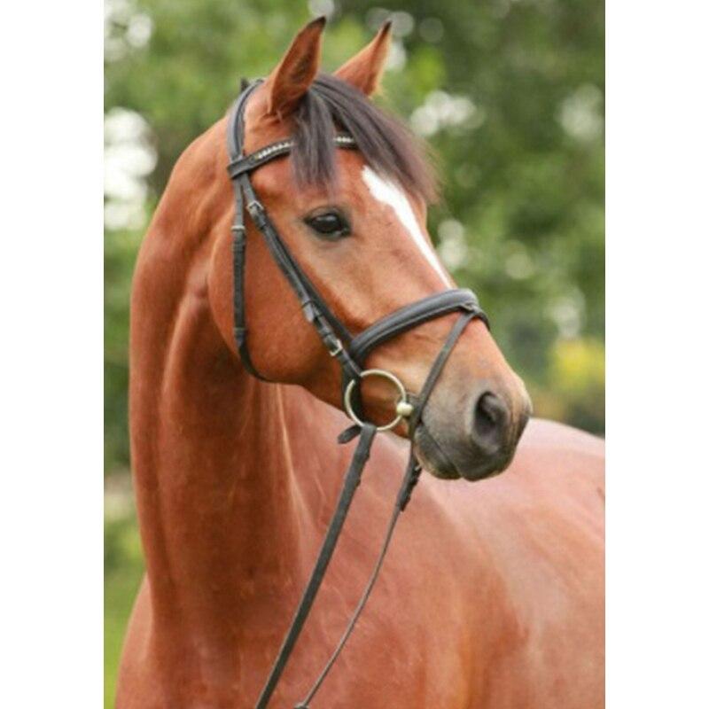 Новый 5D DIY пейзаж алмазная живопись Лошадь Алмазная вышивка животное вышивка крестиком полная круглая дрель домашний декор ручной подарок