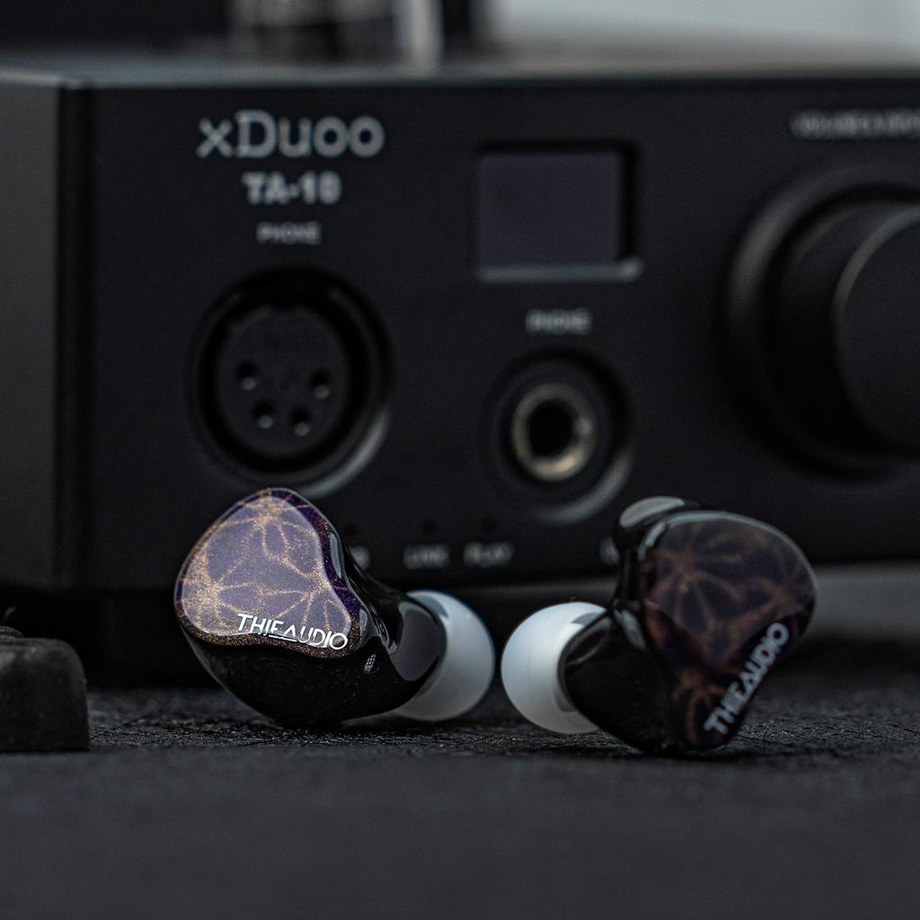 THIEAUDIO Hype 2 Hybrid Earphones Equipped with Drivers Recable Design Earphones Using Structure Headphones for Instrument 2BA+2DD High-end 4-way