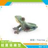 Simulation Amphibian Frog Triangular Dead Leaf Frog Red-Eyed Tree Frog Darwin Frog Static Model Ornament