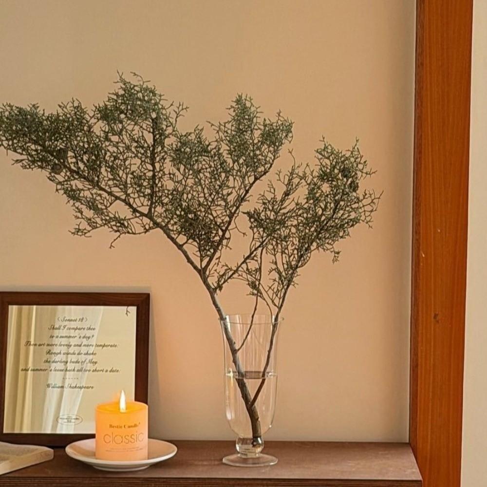 High Temperature Resistant Glass Flower Vase Transparent Decorative Bottles Home Decor