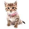 Pet Supplies With Bell Neck Strap Quick Release Kitten Safety Breakaway Cat Collar