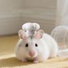 Breathable Hamster Cosplay Hat Adjustable Pet Dress Up Hat Pet Costume Hat  Birthday Party
