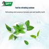 Darlie Tea Care Longjing Mint Toothpaste Twin Pack with Toothbrush