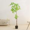 Artificial Nandina Domestica Potted Plant - Decorative Greenery for Living Room and Floor Bonsai Ornaments.