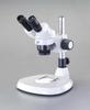 Esco Stereo Microscope X20/x40 EA756ZB-22