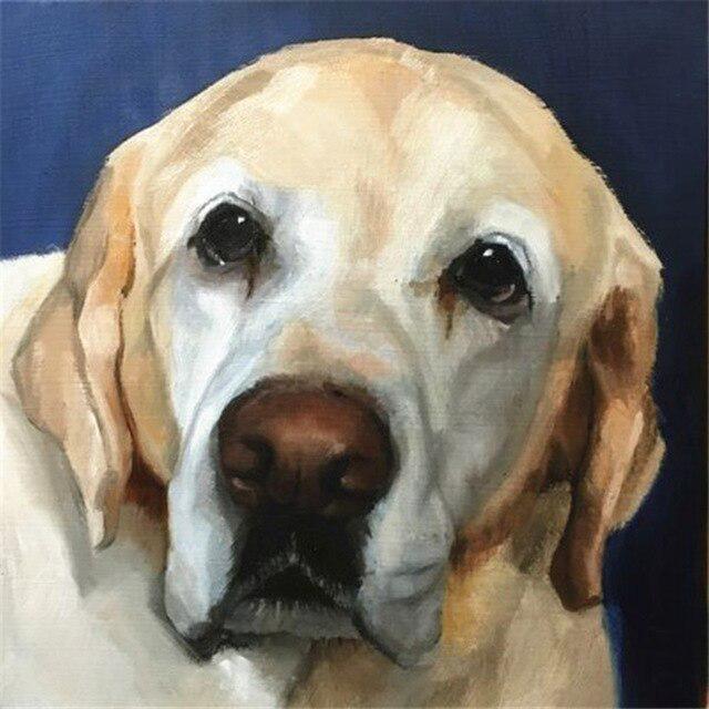 Животное DIY 5D алмазная живопись полная круглая дрель стразы мозаика домашняя собака Алмазная вышивка крестиком украшение дома