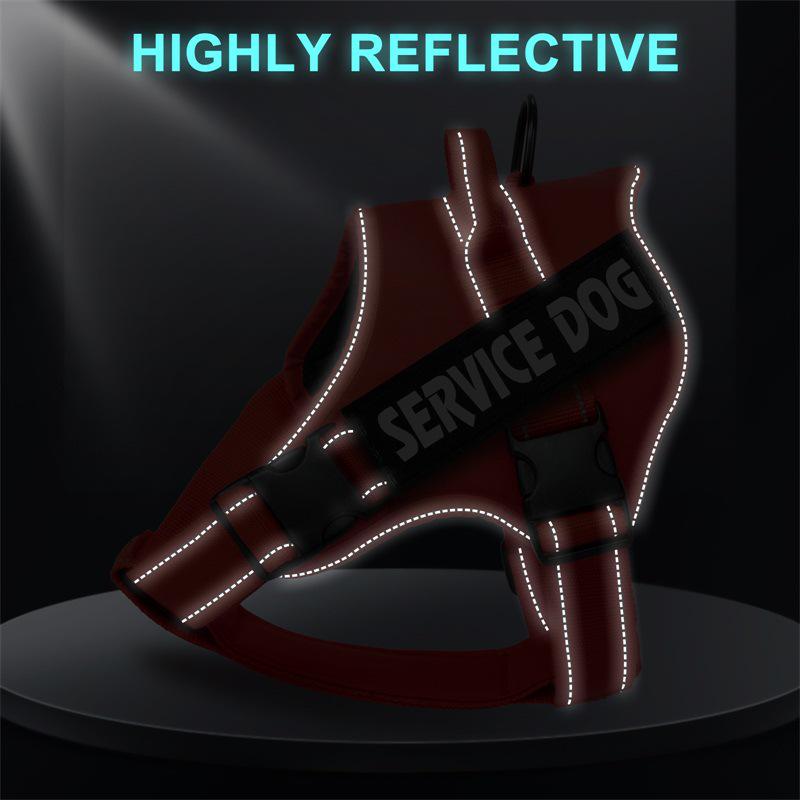 Место для выгула собак: Средне-большая шлейка-жилет для лабрадора