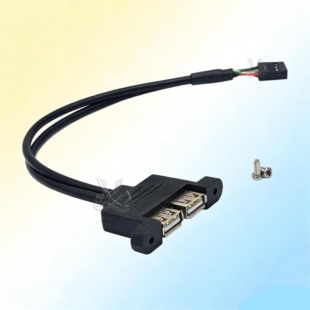 USB 9-Pin to Dual USB 2.0 Female Port Expansion Cable