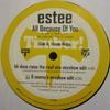 12inch Record ESTEE - All Because Of You TB446 Timber!, Tommy  1998 US Dance & Electronica Used