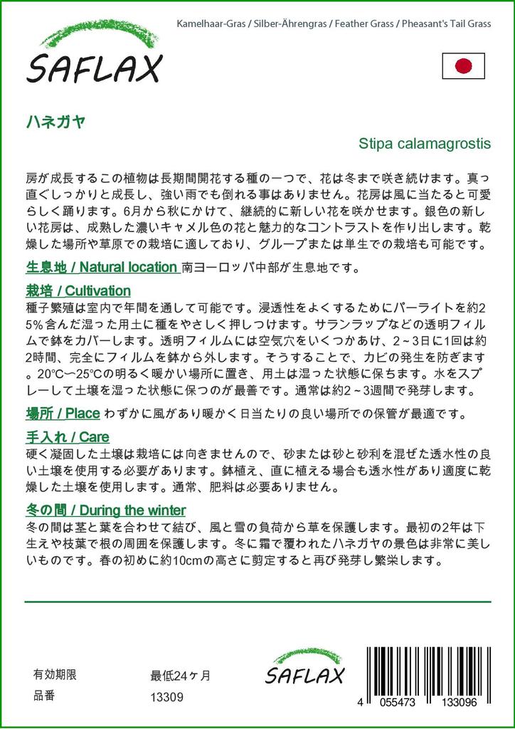 SAFLAX Ковыль / Трава фазаньего хвоста - 50 семян - Stipa Calamagrostis
