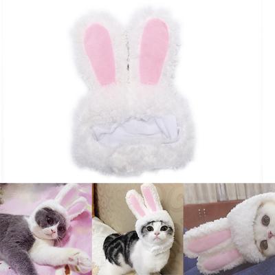 Кошка, кролик, шапка с кроличьими ушками, костюм для косплея домашних животных, кошек, маленьких собак, вечерние