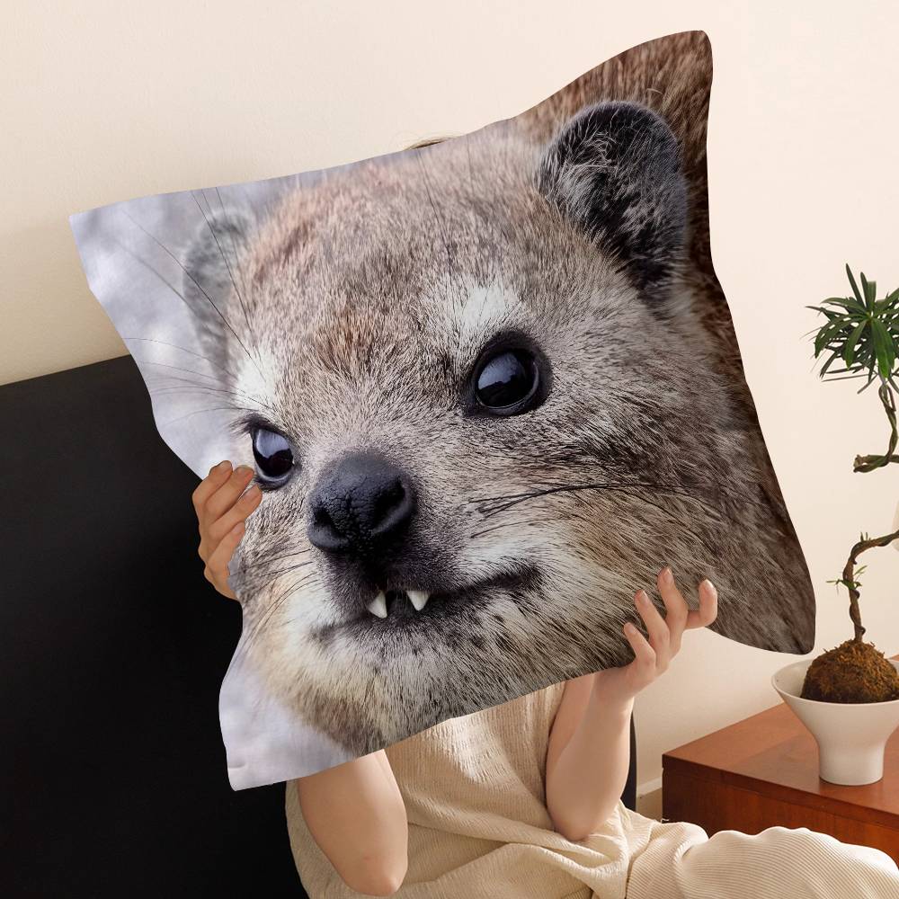 Rock Hyrax Animal Cushion Cover Pillow Cover Decor Pillowcase Printed Cushion Case for Couch