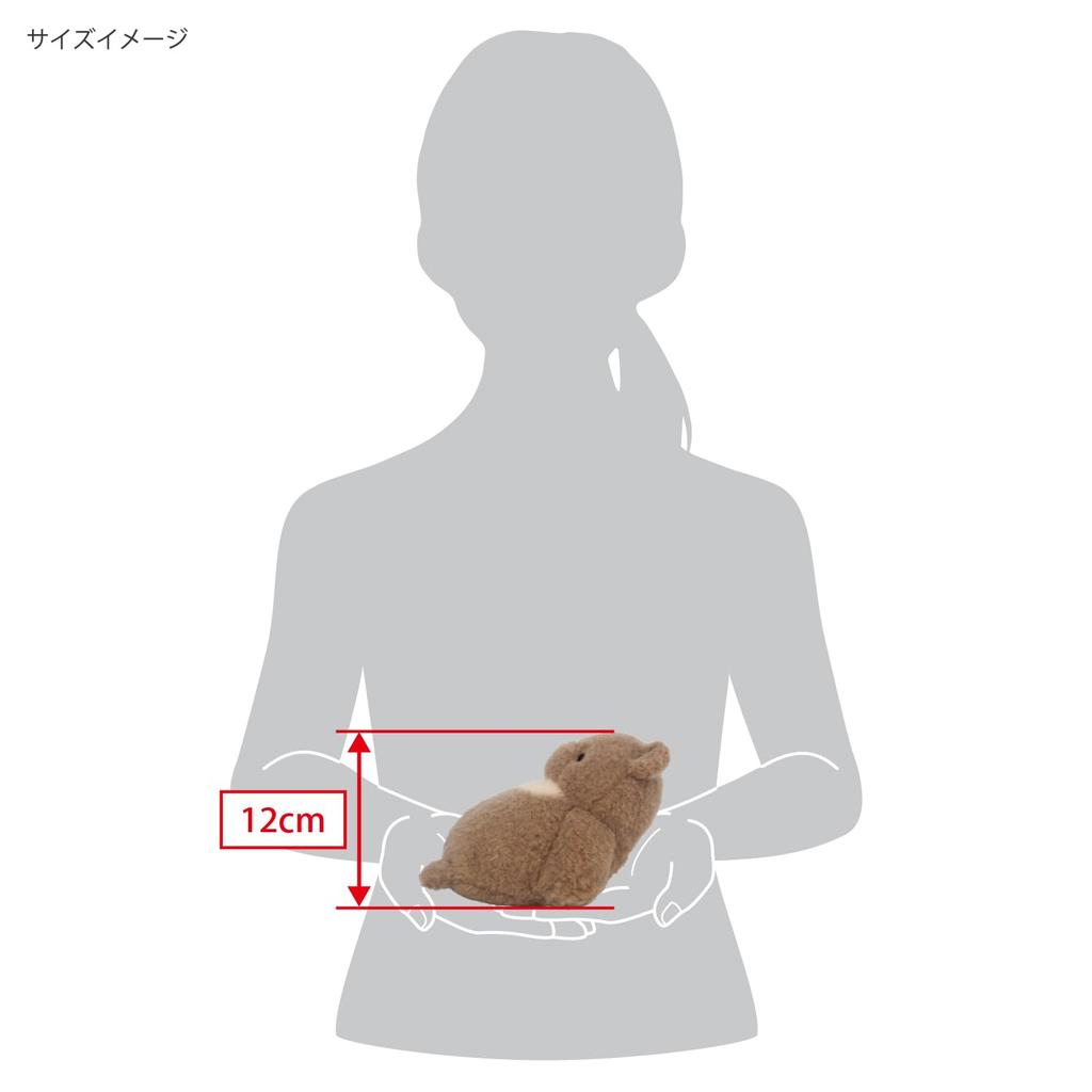 Sanei Boeki Chirumite Bear Plush W11 X D15 X H12cm Toy,