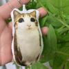 Squeeze Meowl Keyring Stuffed Animal Cat Plush Pendant Funny Cat Voice Keychain  Friend Gift