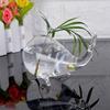 Модная DIY Стеклянная ваза в виде кита Милый стиль кита Гидропоника Растение Цветочный горшок Стеклянная поделка Прозрачная стеклянная ваза Композиция из цветов