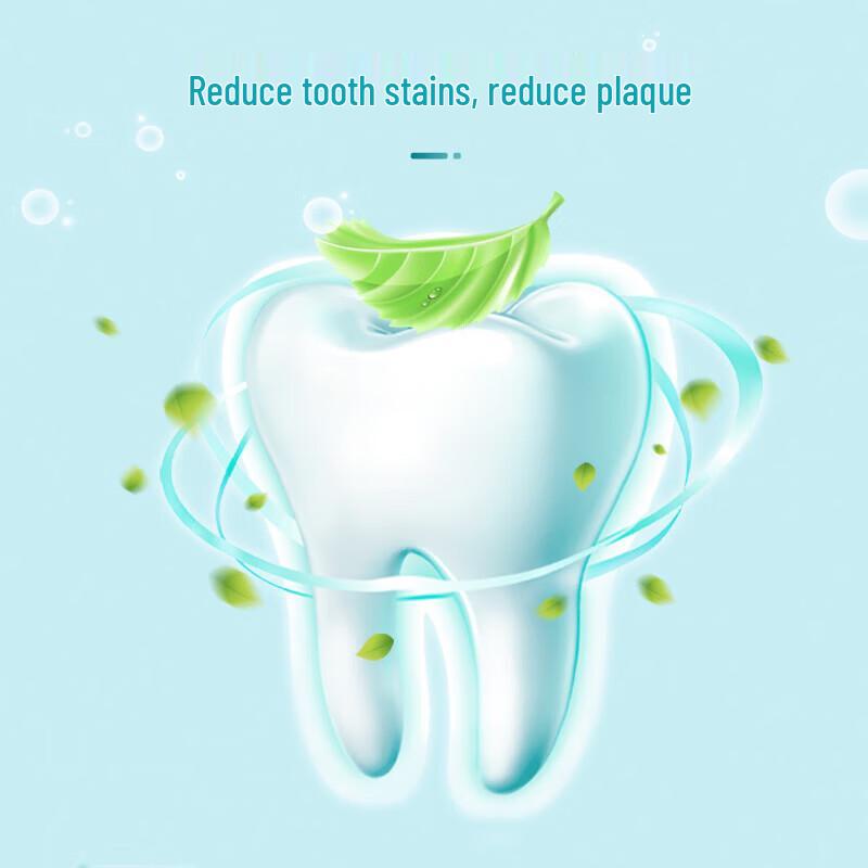 Nice Toothpaste with White Salt & Mint