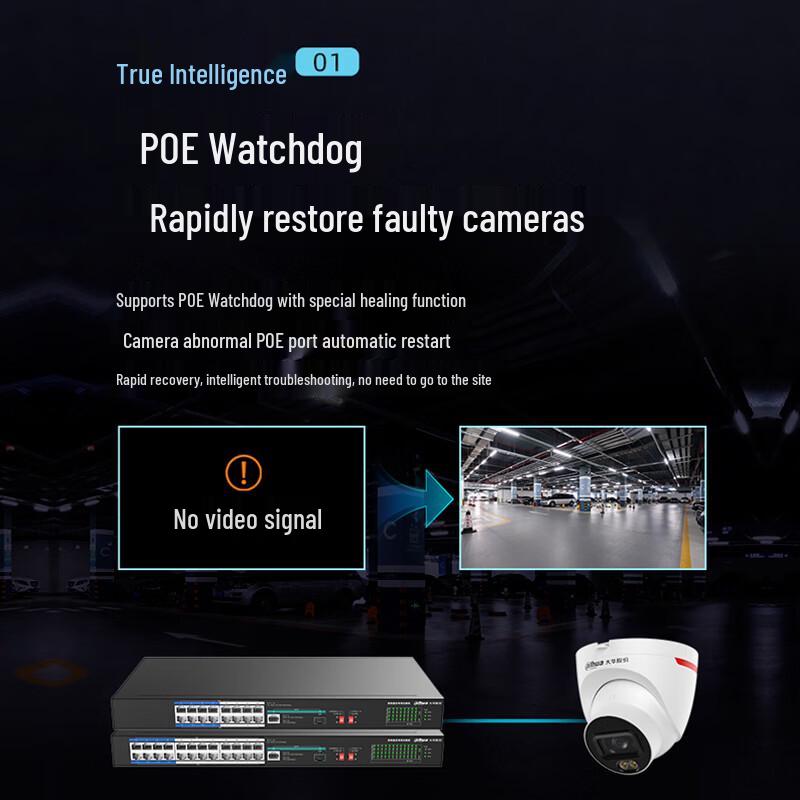 Dahua 16-Port Fast Ethernet PoE Switch
