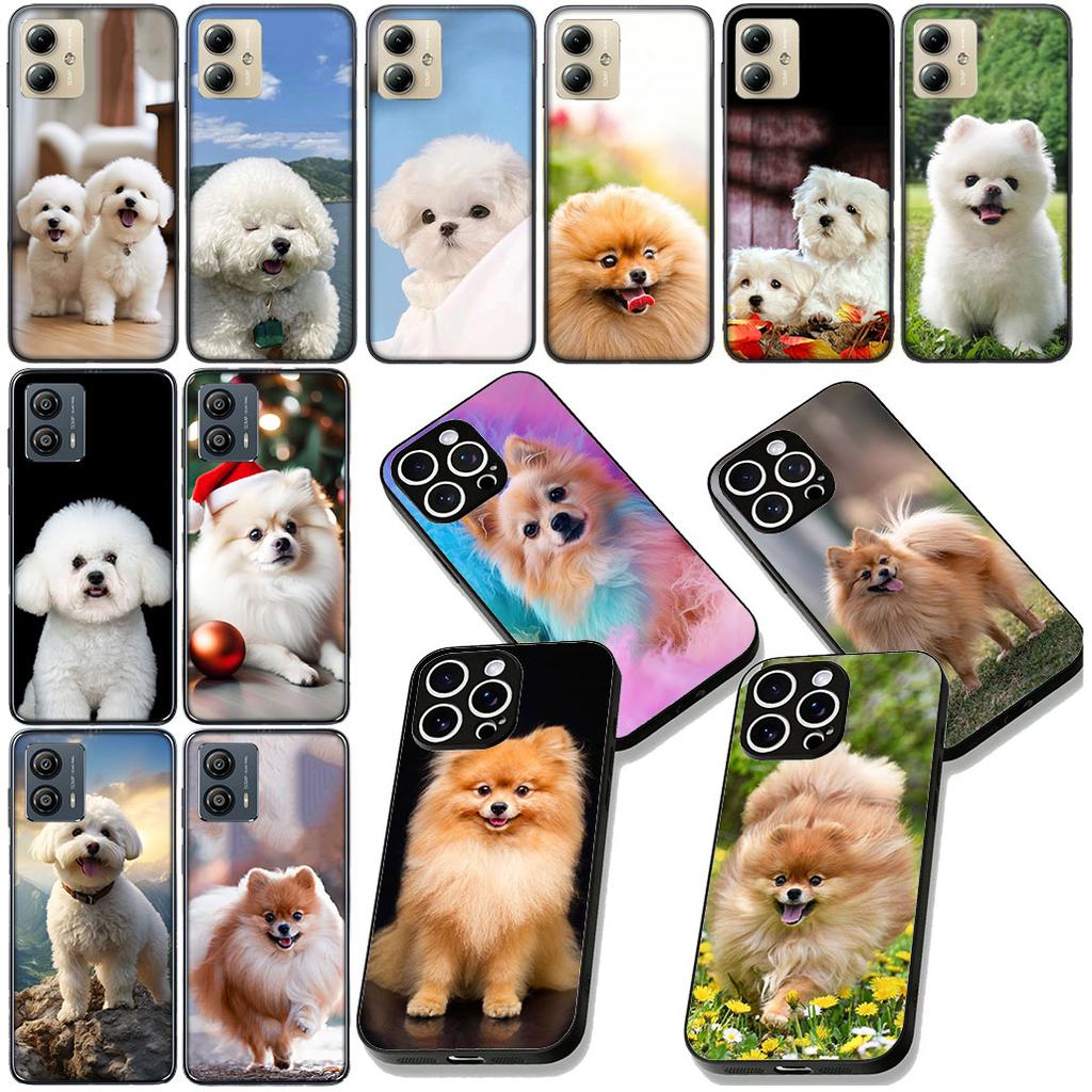 Pomeranian Dog Pet Animal Phone Cover for Apple iPhone 12 13 Mini XS 11 Pro Max 7 8 Plus + XR 8+ X SE 2020 SE3 Casing Coque Case