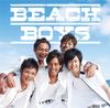 CD BEACH BOYS - Beach Boys [First Press Limited Edi Japan ObiRock Used