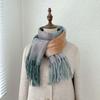 2024 Autumn/Winter New Gradient Imitation Cashmere Tassel Printed Scarf Fashion Versatile Office Warm Shawl Scarf For Men And Women