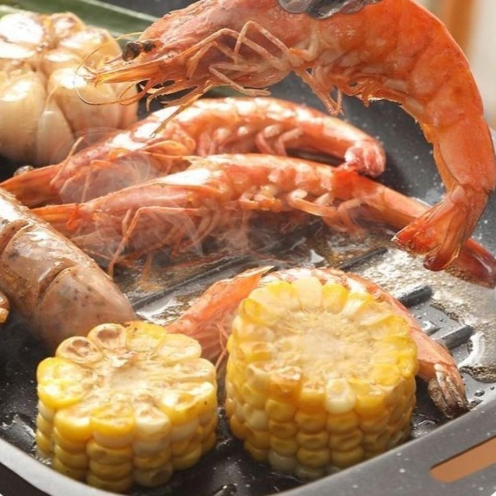 Nonstick Grill Frying Pan Double Handle Griddle Pan Portable BBQ Grill Pan  BBQ Stove