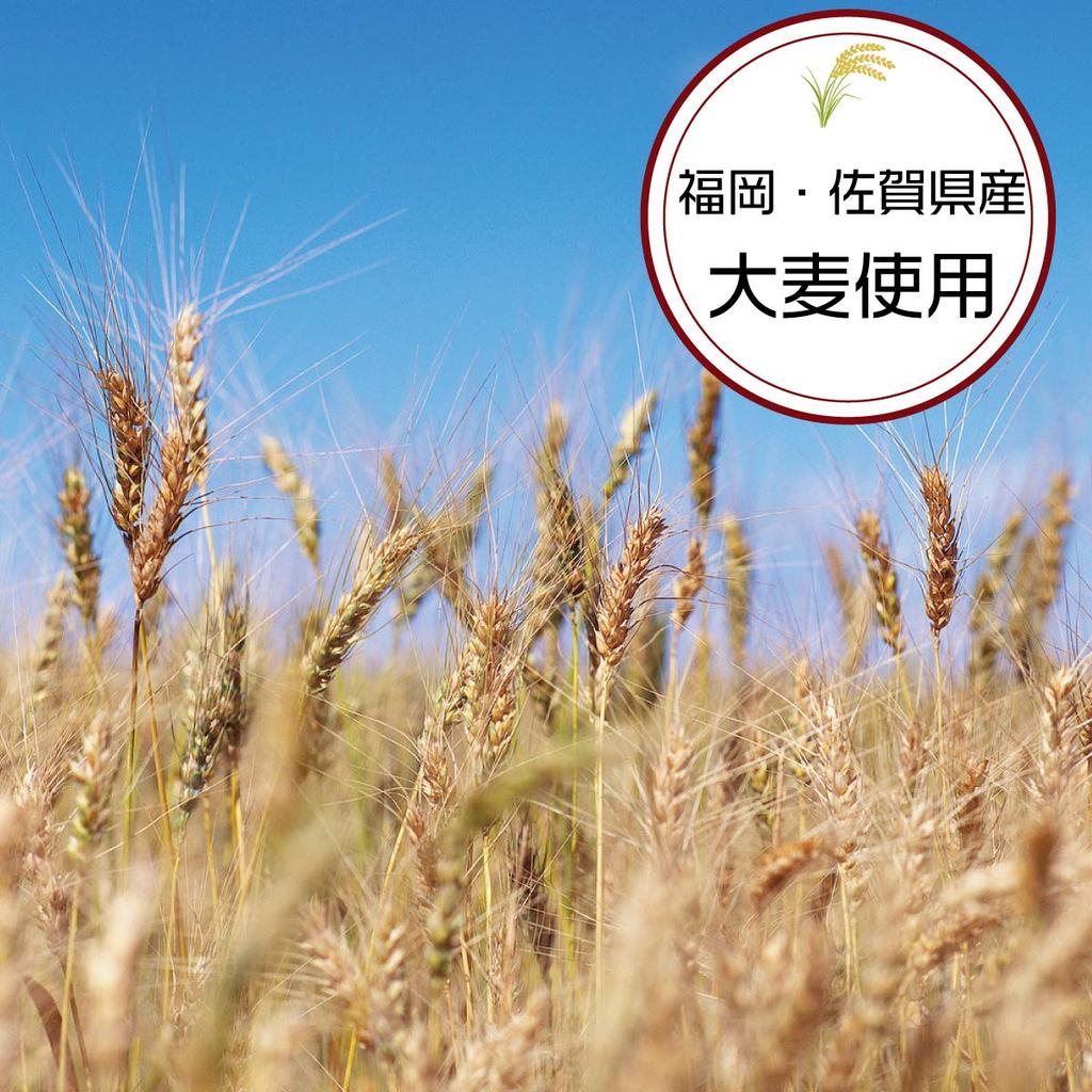 Чай ячменный Chikiriya Kyushu в пакетиках из префектур Фукуока и Сага 320 г xx 5 шт. (8г 40п)