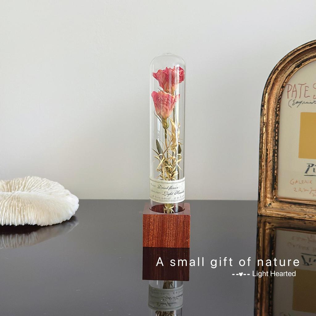Retro Glass Dome Plant Specimen with Preserved Dried Flowers - Ideal Gift for Graduation, Birthday, Valentine's Day, or Teacher's Day.
