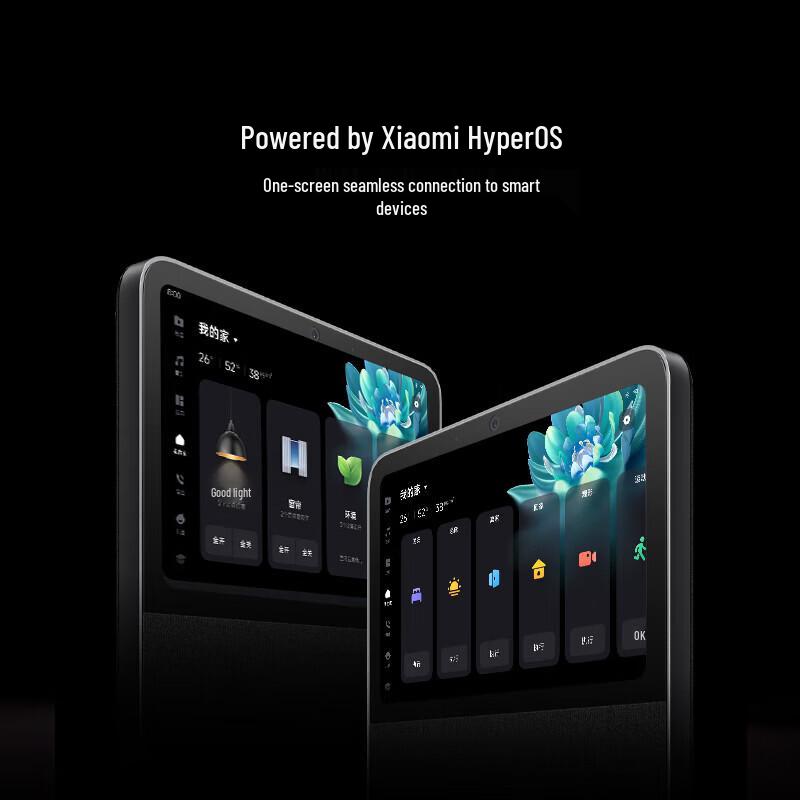 Xiaomi Умный домашний экран 10 вилка CN (адаптер в комплекте)