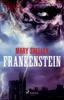 Книга Frankenstein