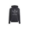 adidas Мужские толстовки Originals Classic Mono Graphic Hoodie Black IS2933