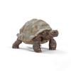 Schleich Giant Turtle Figure SL14824, 1 Piece, Popular Toys In Korea