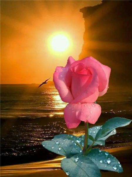 5D DIY Алмазная картина Новый цветок Роза Стразы Алмазная вышивка Распродажа Пейзаж Приморская мозаика Домашний декор