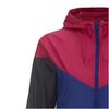 Nike Куртка с капюшоном и принтом логотипа Женские куртки Многоцветный 545909-455