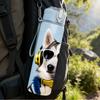 1PC Dog Sunglasses Headphone 750ml Color Plastic Sports Water Bottle Leakproof Flip Straw Lid Suitable for Sports Office Home Use