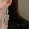Silver needle metal long fringed earrings niche light luxury high-end earrings fashion versatile temperament earrings women
