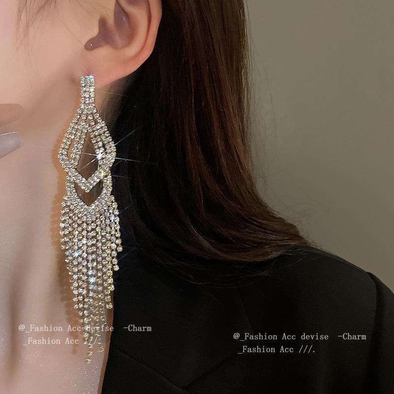 Silver needle metal long fringed earrings niche light luxury high-end earrings fashion versatile temperament earrings women