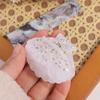 Acrylic Shell Hair Claw Korean Style Shell Shape Claw Clip Creative Shell Crab Clip  Lady