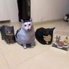 1 НАБОР бумажная модель кошки, кошка сомневается, 3D оригами кошки, вращающаяся кошка, подарки, милые украшения [пакет материалов для оригами] + ножницы + двусторонний скотч