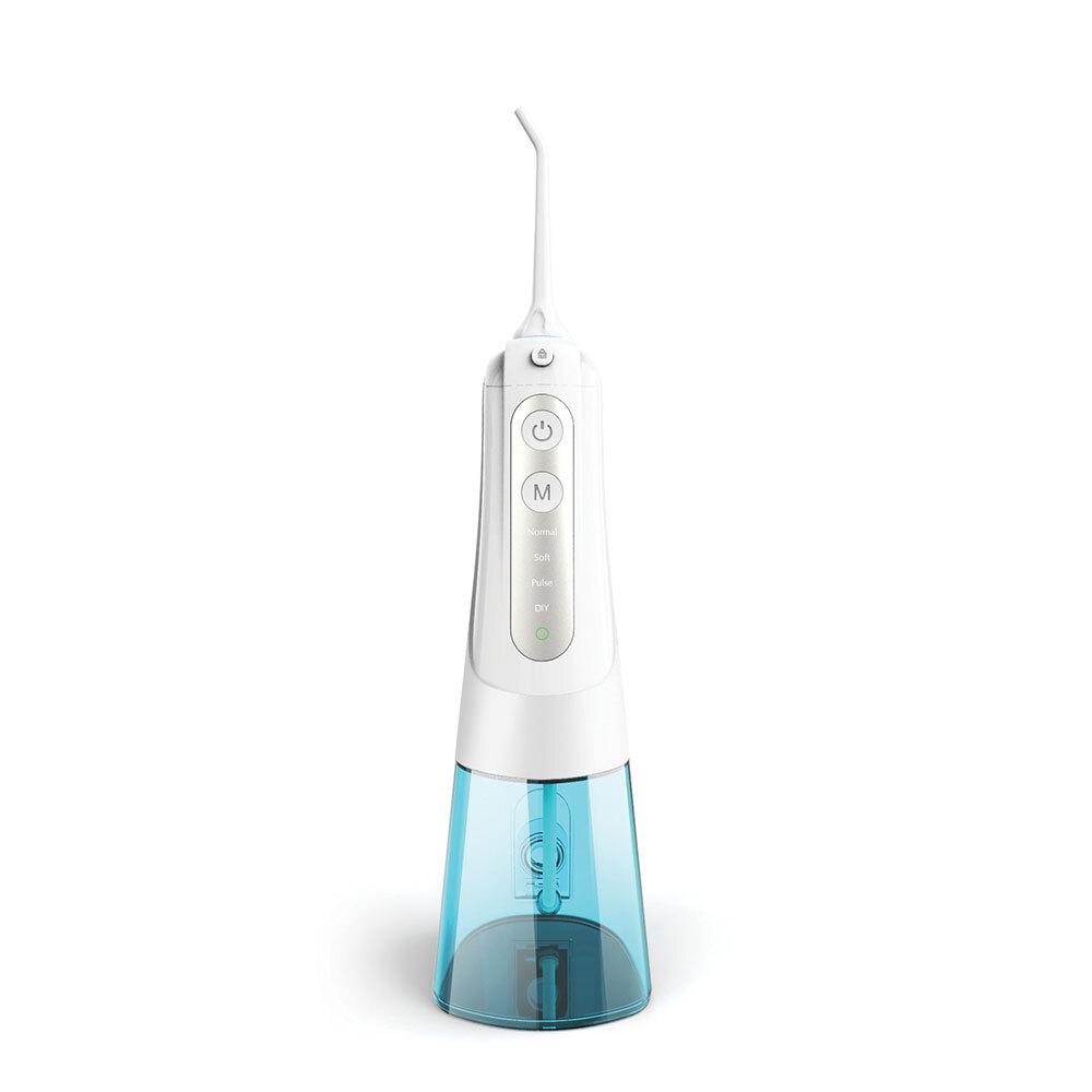 Портативный ирригатор полости рта Danmi Clean Pick 300 мл DA-CLS03Y 2 типа, выберите 1 (черно-белый)