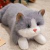 Ragdoll Cat Simulation Cat Plush Toys Fluffy Plush Cat Doll Simulated Kitten Model  Kids Gifts