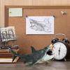 Shark Toys Shark Model Toy Animal Collectible Desktop Display Decoration For Study Bookshelf Living Room Bedroom