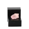 Precious Stone - Morganite - 5.16 Ct - Africa - Certificate of Authenticity - Beryl