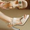 Fashion Women's Fashion Sandals Metal Decoration One-line Buckle Square Heel Shoes Women Dress 2025 French Square Toe Sandalias De Mujer