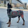 Комбинезон для питомца с татуировкой дракона, Полноценный 4-лапый костюм для собаки, Эластичная стильная футболка для собаки, Всесезонный наряд для собак и кошек от мелких до крупных пород