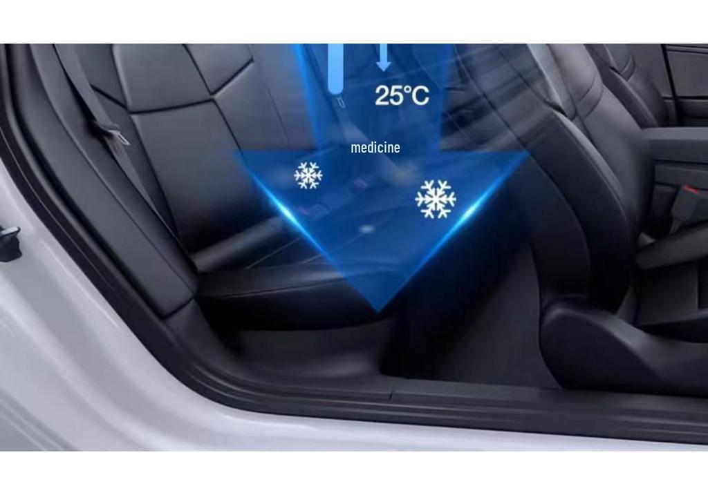 Электростатическая шторка для крыши Tesla Model 3/Y