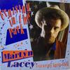 12-дюймовая пластинка МАРТИН ЛЕЙСИ - Круиз по парку PASH1280 Passion 1987 UK Танцевальная и электронная Б/У